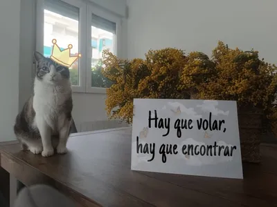 Foto de quien participó en el vídeo