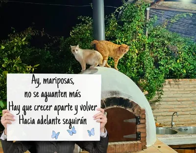 Foto de quien participó en el vídeo