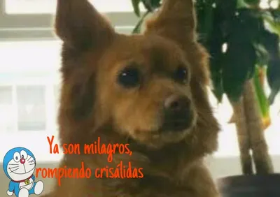 Foto de quien participó en el vídeo