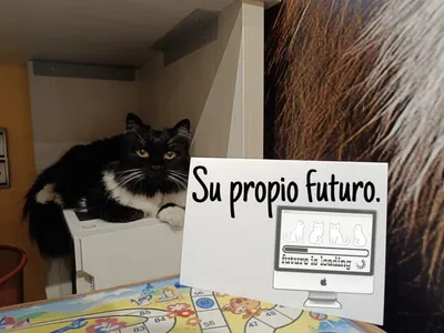 Foto de quien participó en el vídeo